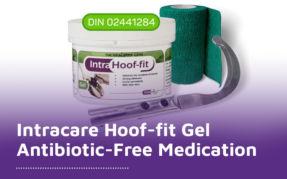 Hoof-fit Gel — Antibiotic-Free Medication for Cattle