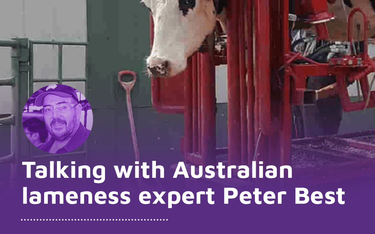 Talking with Australian lameness expert Peter Best