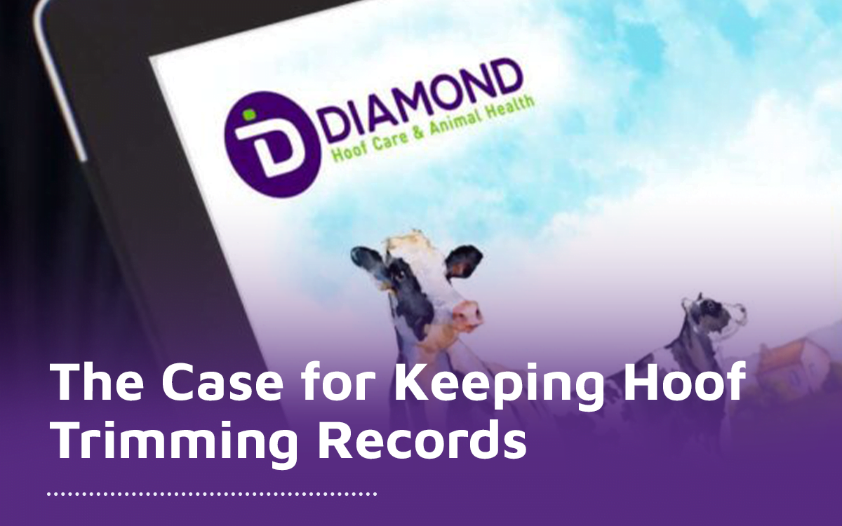 The Case for Keeping Hoof Trimming Records