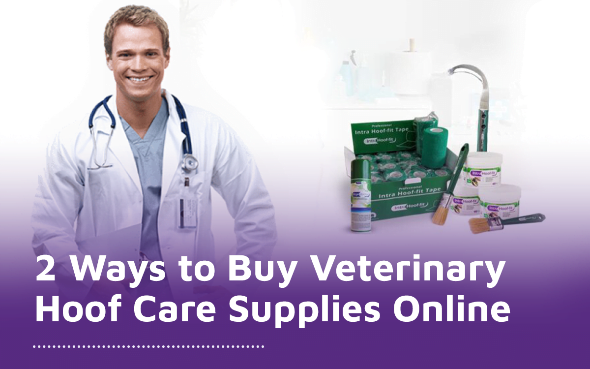 Best Ways to Buy Veterinary Hoof Care Supplies Online