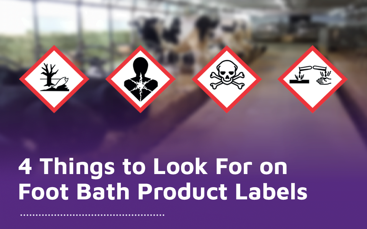 4 Things to Look For on Foot Bath Product Labels