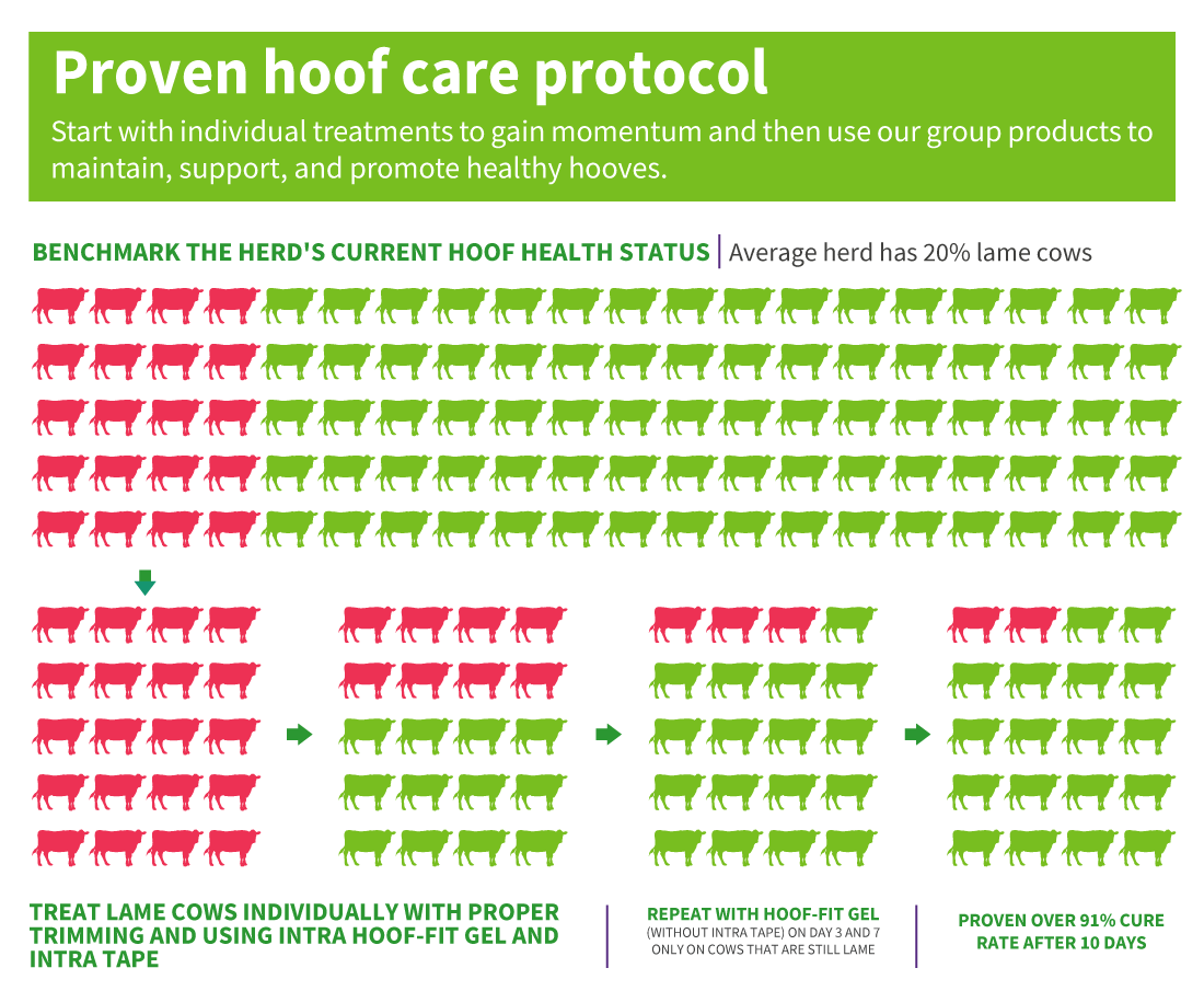 Our Proven Hoof Care Protocol
